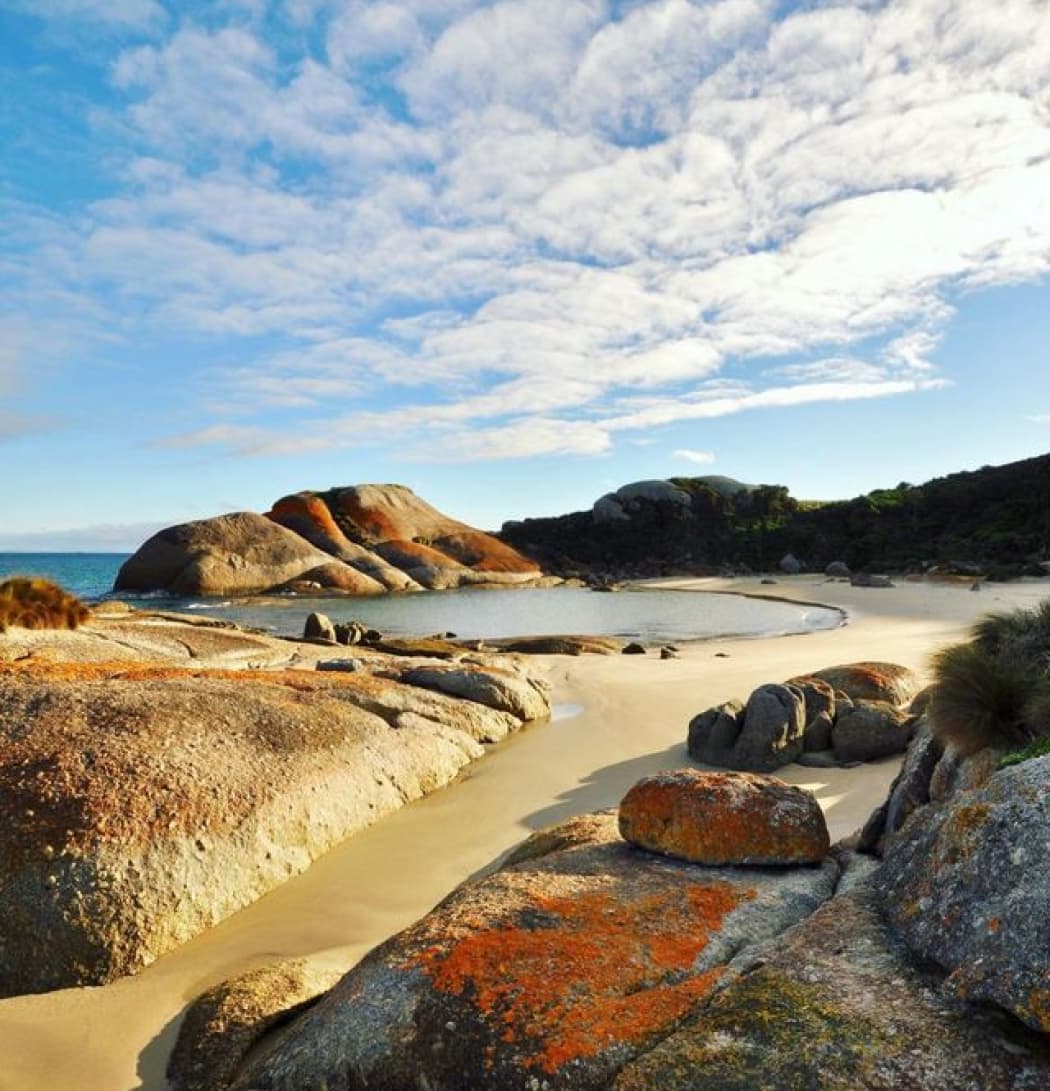 Beachcombing